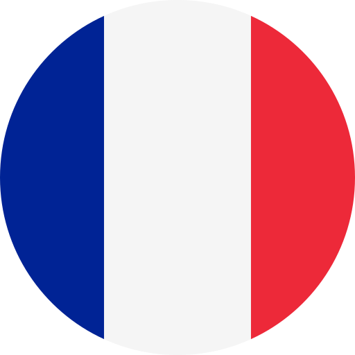 icone du drapeau français pour traduire la page en français